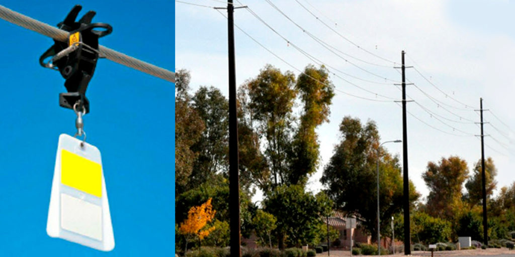 bird flight diverters on power lines