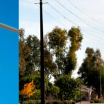 Bird flight diverters: what’s the deal with those small squares on power lines?