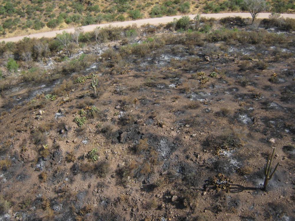 Photo showing damage from the Woodbury Fire