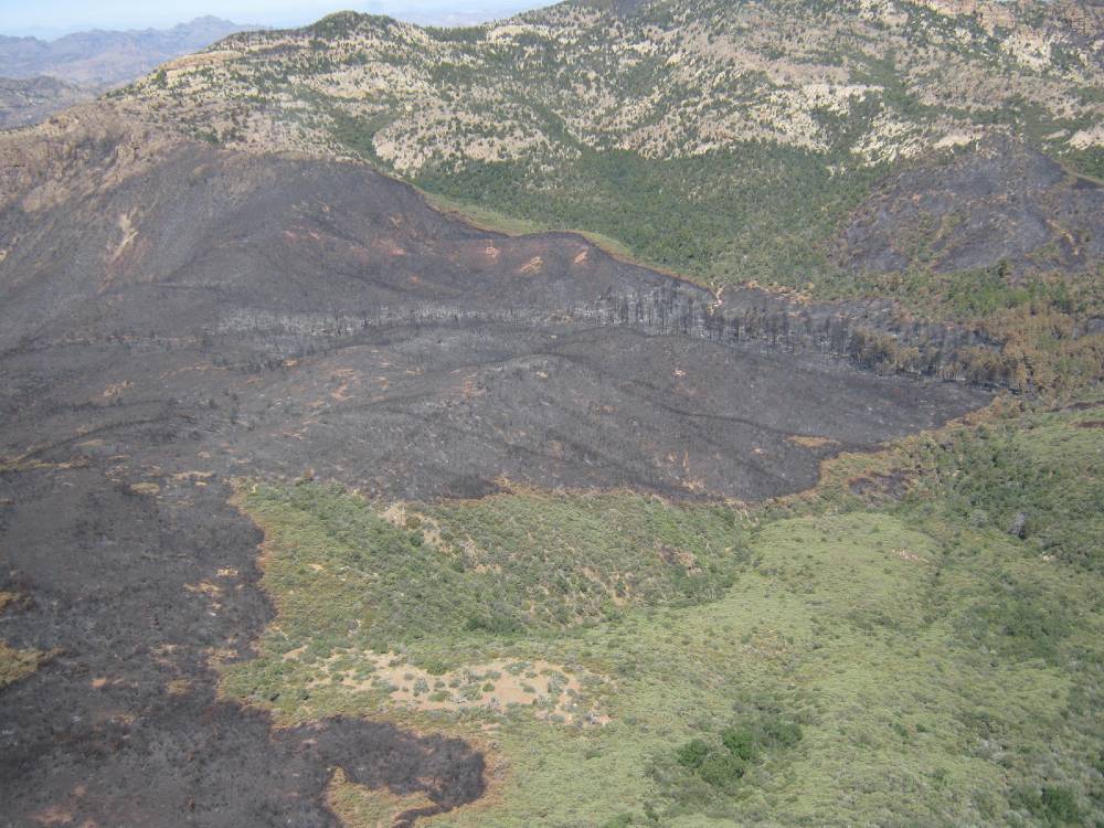Photo showing damage from the Woodbury Fire