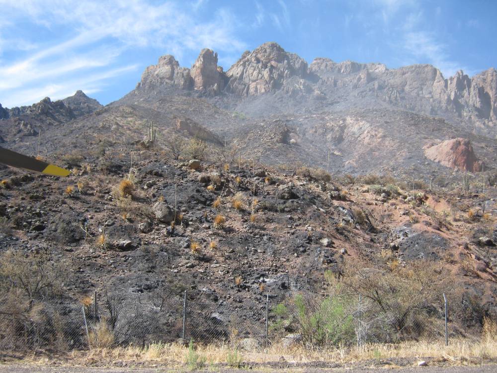 Photo showing damage from the Woodbury Fire