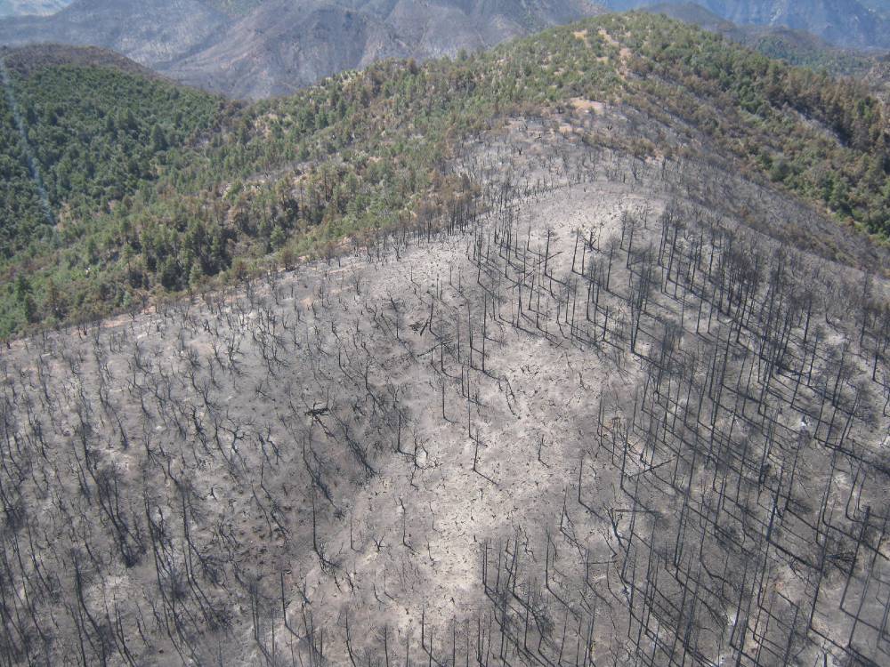 Photo showing damage from the Woodbury Fire