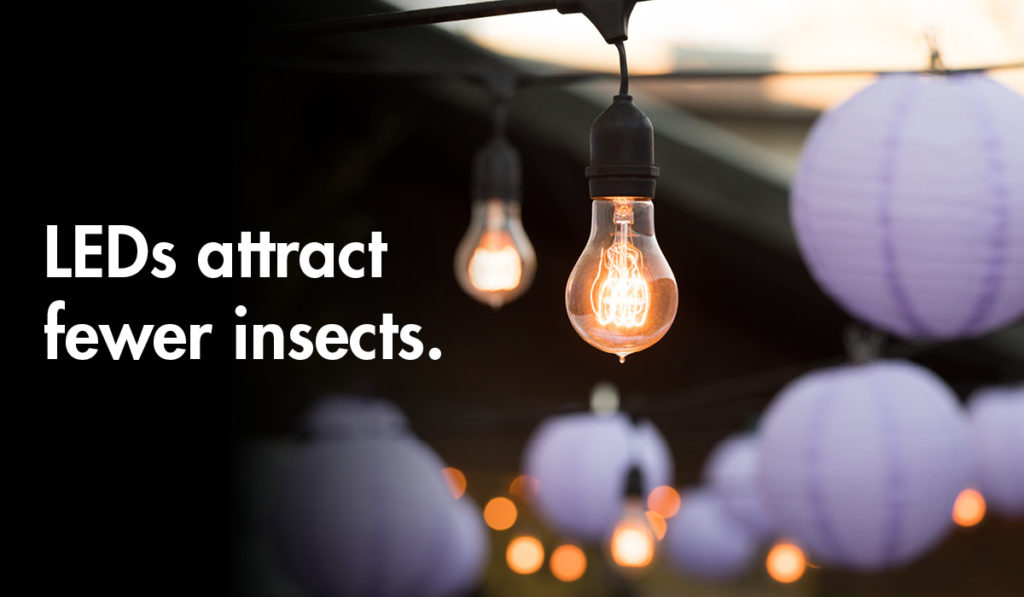 LED lightbulbs attract fewer insects.