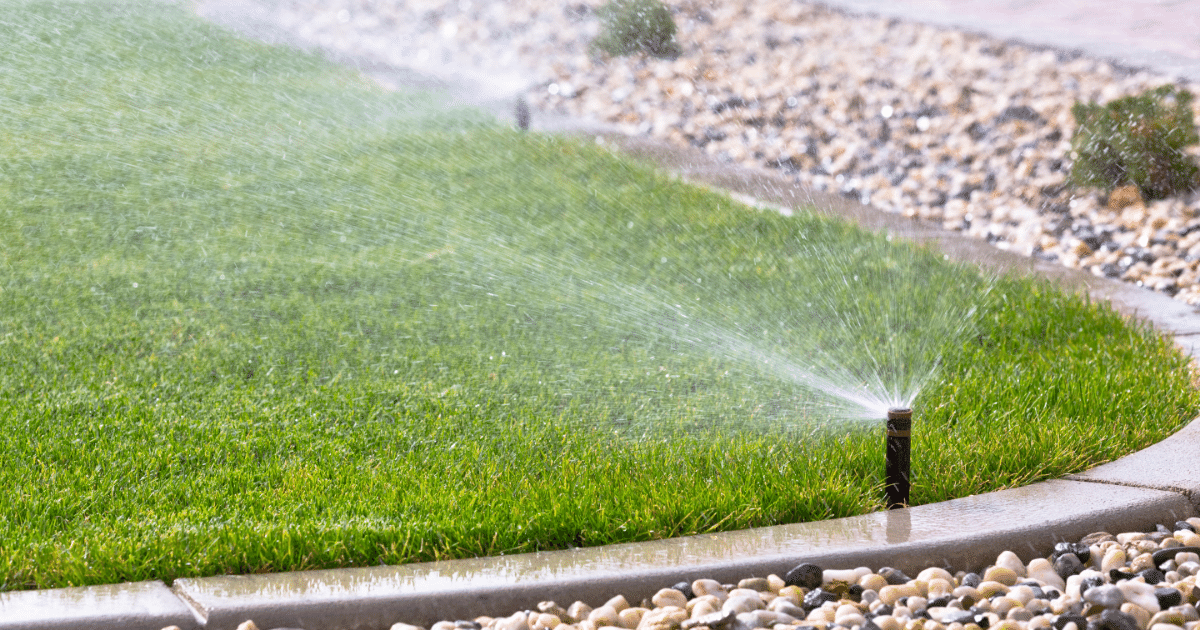 Conserve water: How to find leaks in and around your home Conserve water: How to find leaks in and around your home
